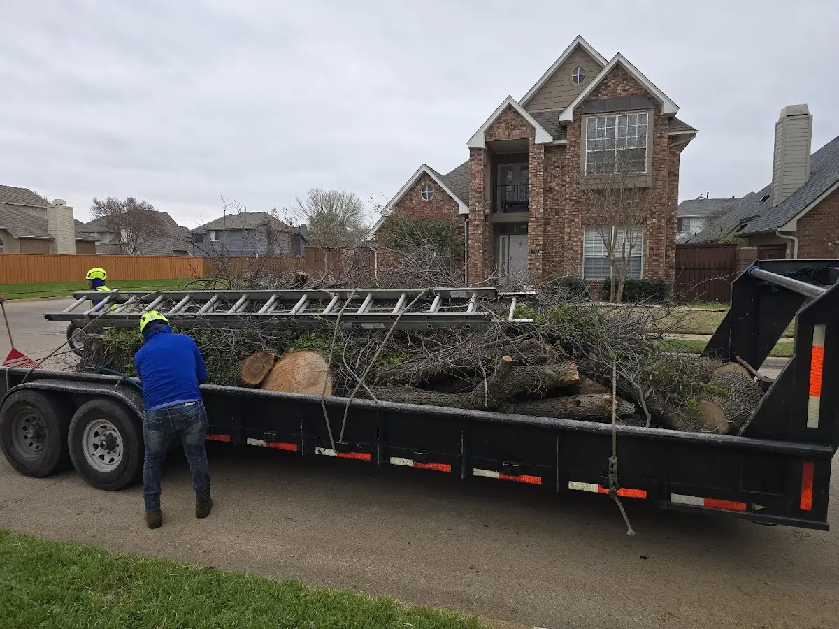 Expert Lot Clearing with proper safety equipment in Vinson